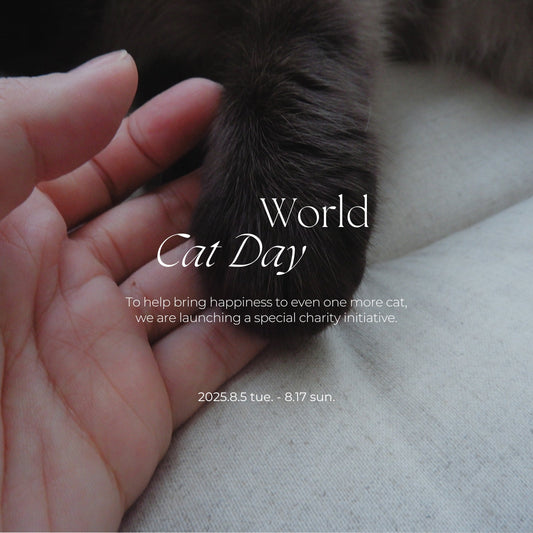 8月8日は「世界猫の日」Onddokaチャリティキャンペーンのお知らせ