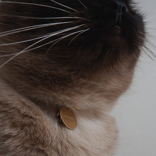 【한정 수량|주문회 11/1-11/3】Order Name Charm(목걸이용)