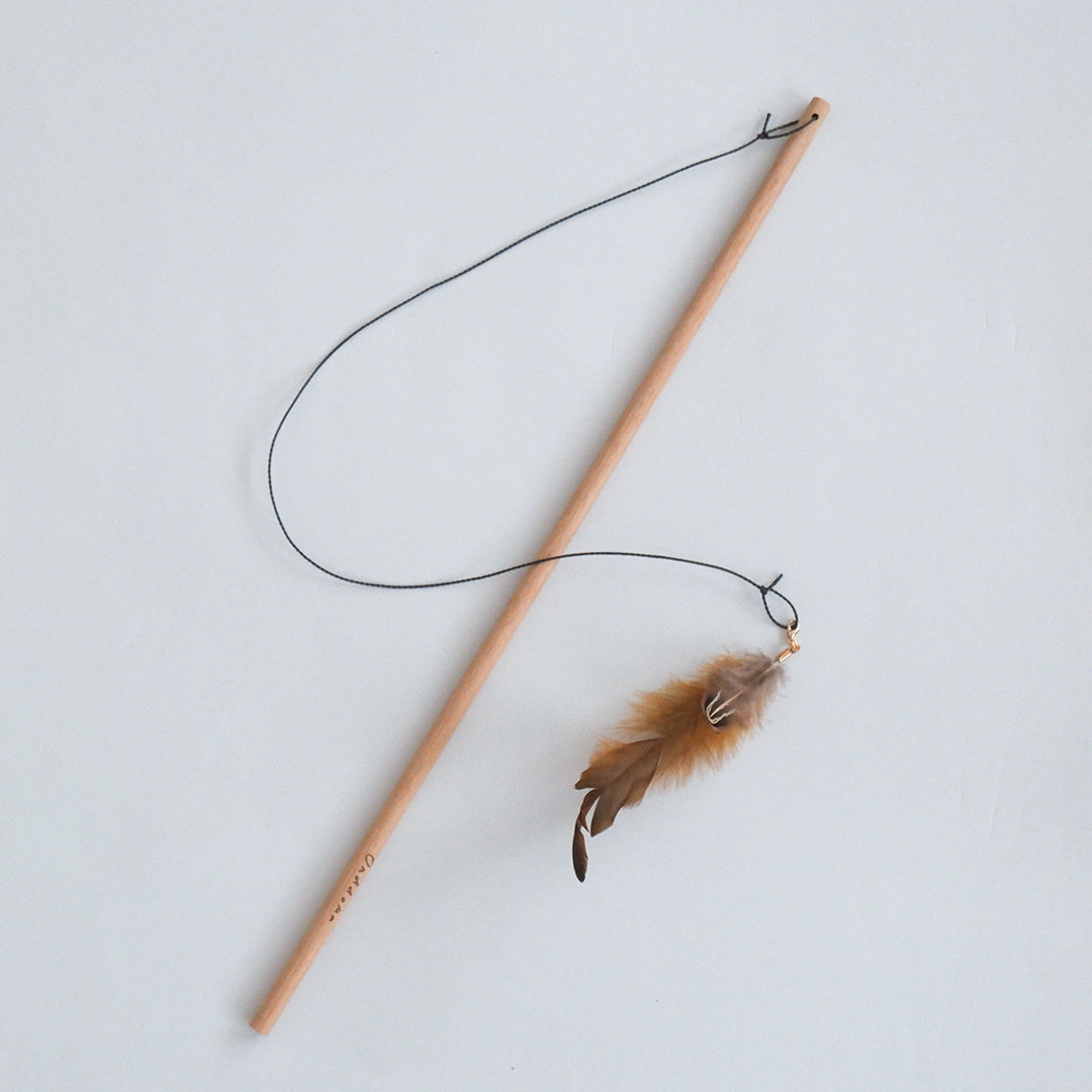 Feather 猫じゃらし