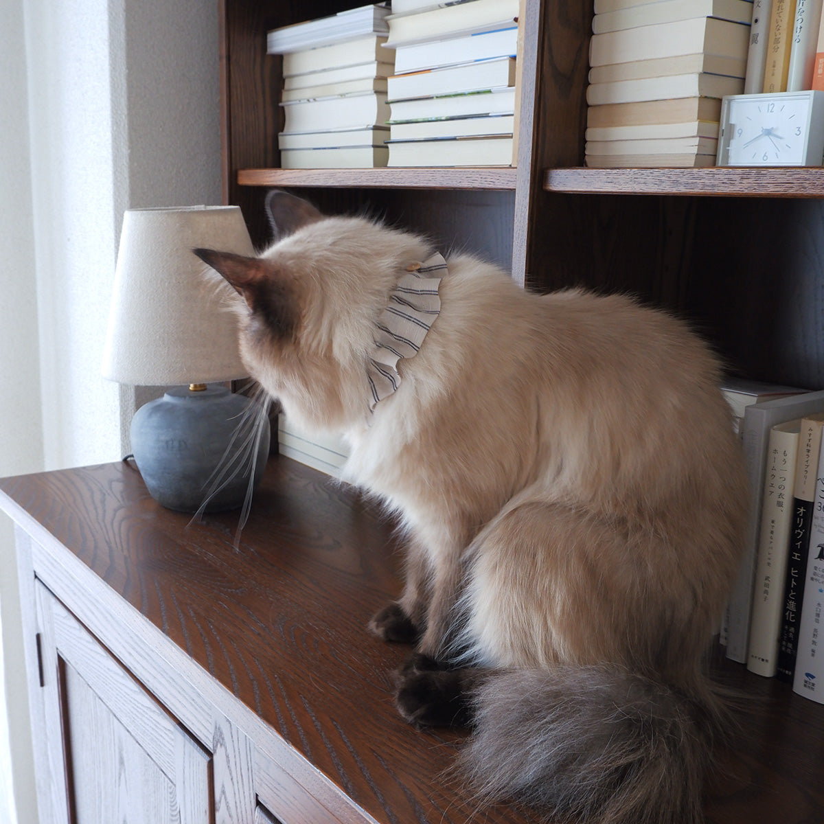 猫にやさしいコットン首輪/フリル【Red】