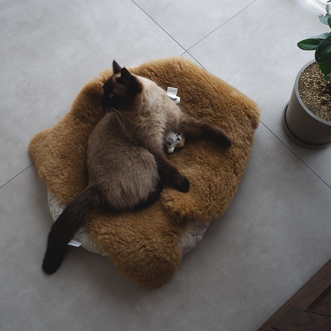【予約販売】猫のためのスプリングラムスキンラグ【ブラウン】