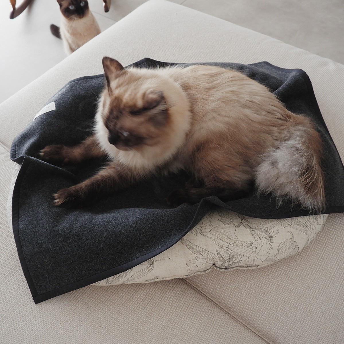 Wool Cat Blanket (ウールキャットブランケット)【Melange Gray】
