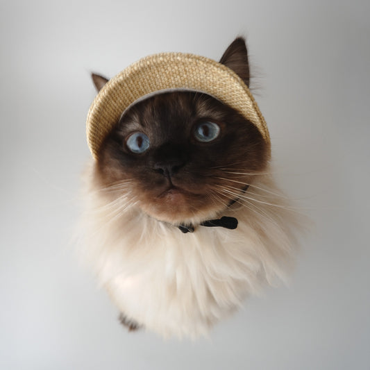 Garden of eden 猫の麦わら帽子【Onddoka別注】