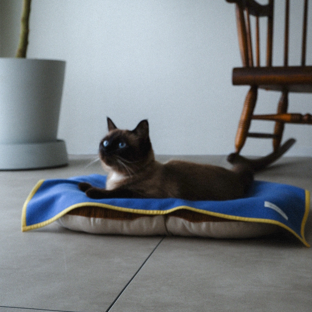 〈New color〉Wool Cat Blanket (ウールキャットブランケット)【Blue】
