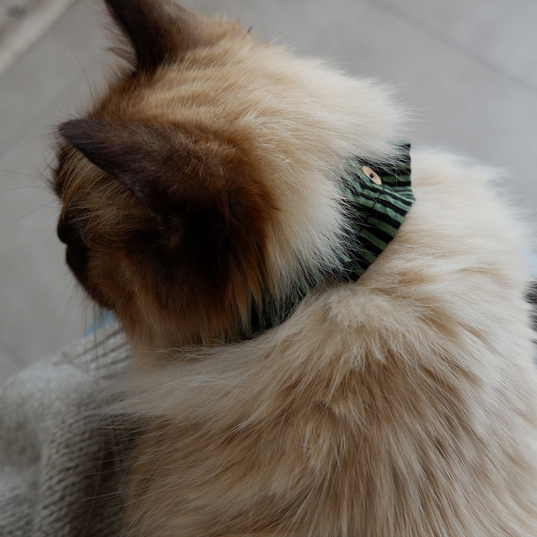 猫にやさしいコットン首輪/フリル【Green/black stripe】