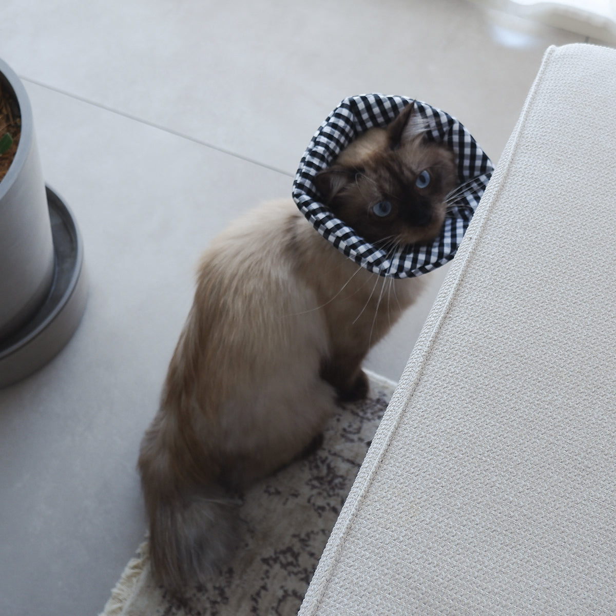 猫のやわらかエリザベスカラー【ハンドブロックプリント/Beige×Pink】