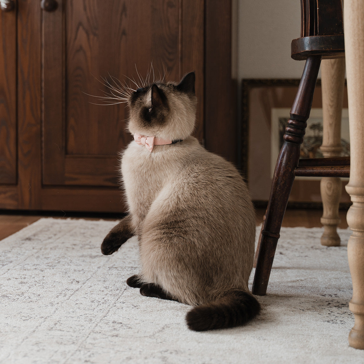 猫にやさしいコットン首輪/リボン【Liberty/Walter's Meadow GR】