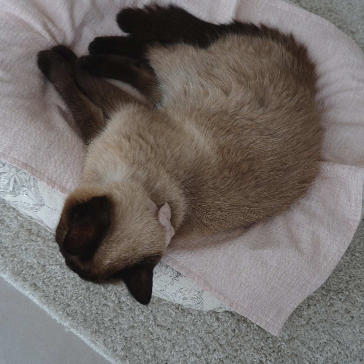 <Cool feeling> Fabric blanket (Ivory sucker)