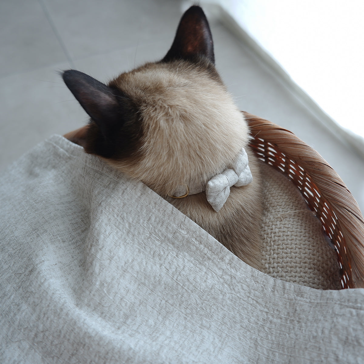 <Cool feeling> Fabric blanket (Ivory sucker)