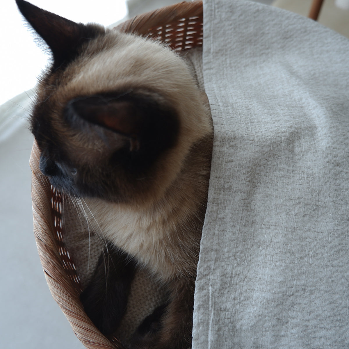 <Cool feeling> Fabric blanket (Ivory sucker)