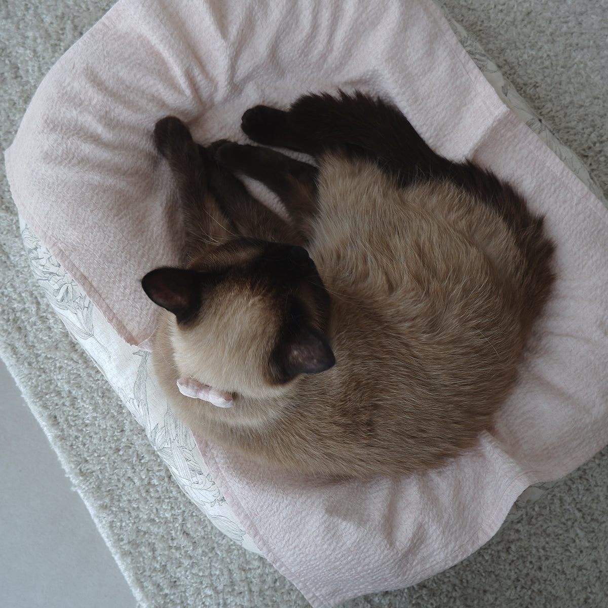 <Cool feeling> Fabric blanket (Ivory sucker)