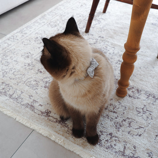 猫にやさしいコットン首輪/リボン【French Stripe/グレイッシュホワイト×ネイビー】