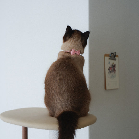 猫にやさしいコットン首輪/リボン【ピンクマカロン】