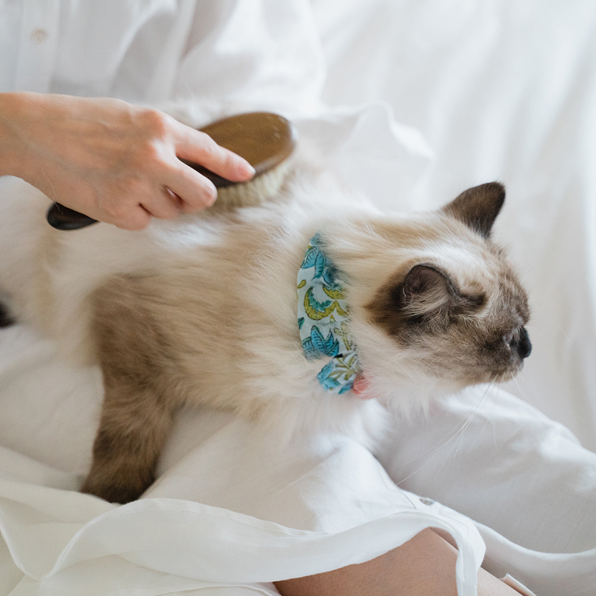 고양이 친화적인 코튼 목걸이/프릴×가제【라벤더】