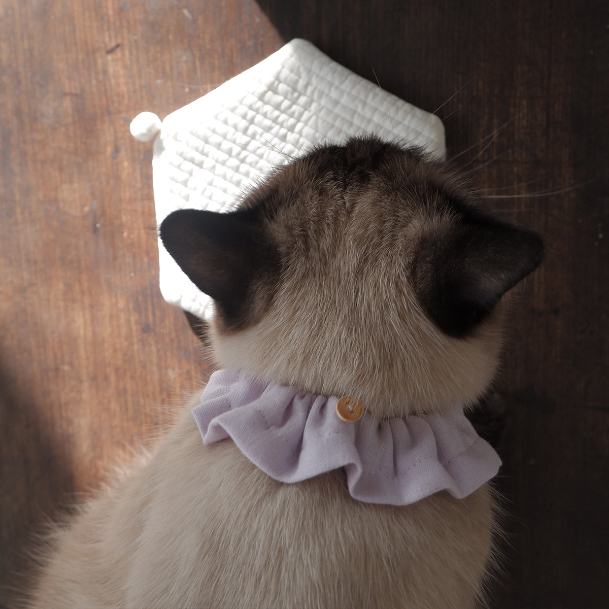 猫にやさしいコットン首輪/フリル【ドットミニヨン/ペパーミント】