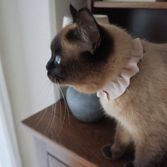 프렌치 매듭 자수의 프릴 목걸이【핑크】