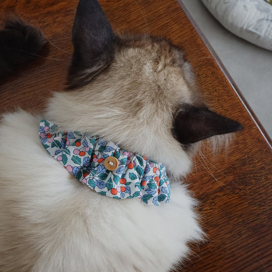 고양이 친화적인 코튼 목걸이/프릴【Liberty/Colleen's Orchard OR】