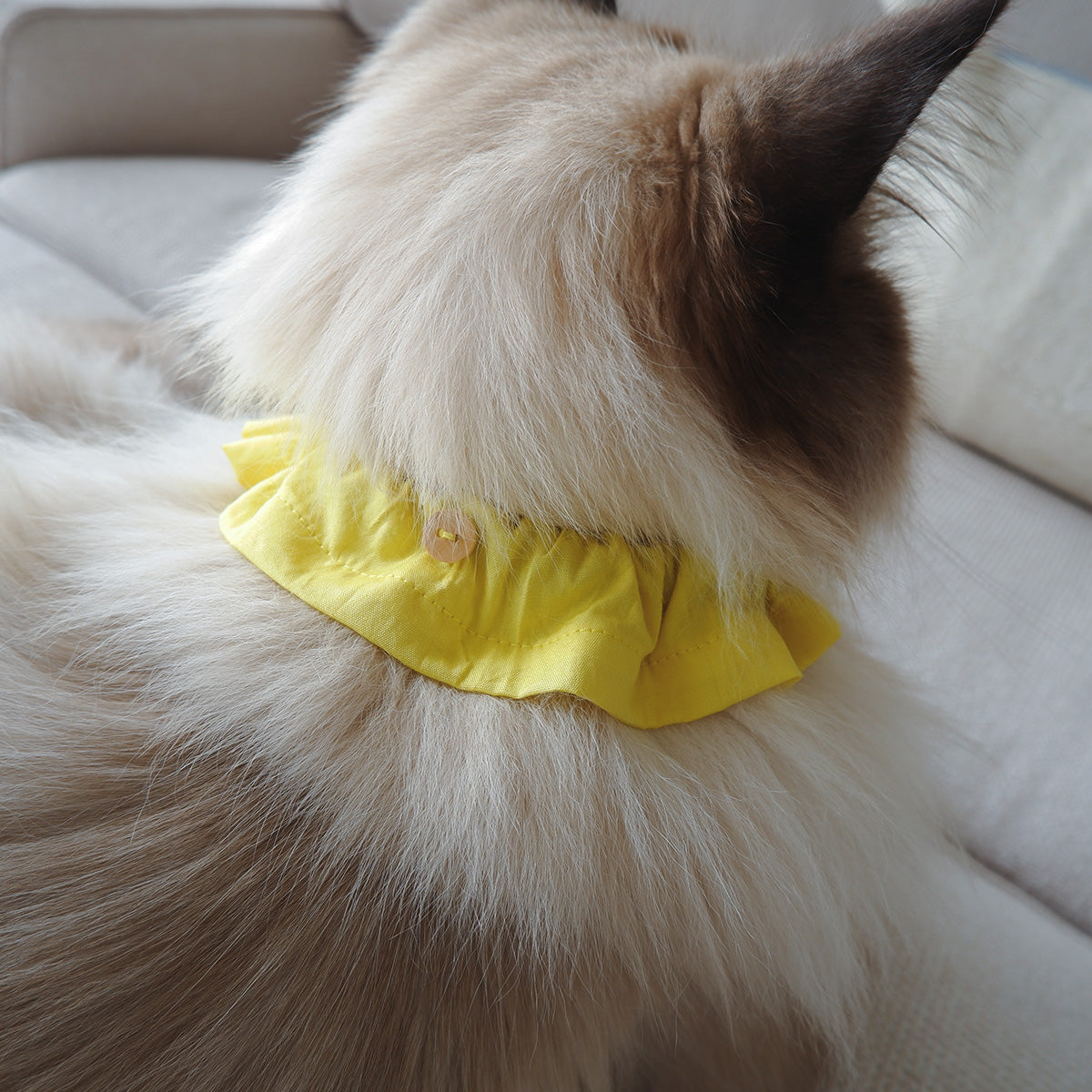 猫にやさしいコットン首輪/フリル【Mimosa】