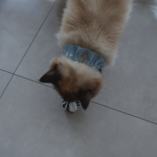 ロープボールTOY【ネイビー×キナリ】