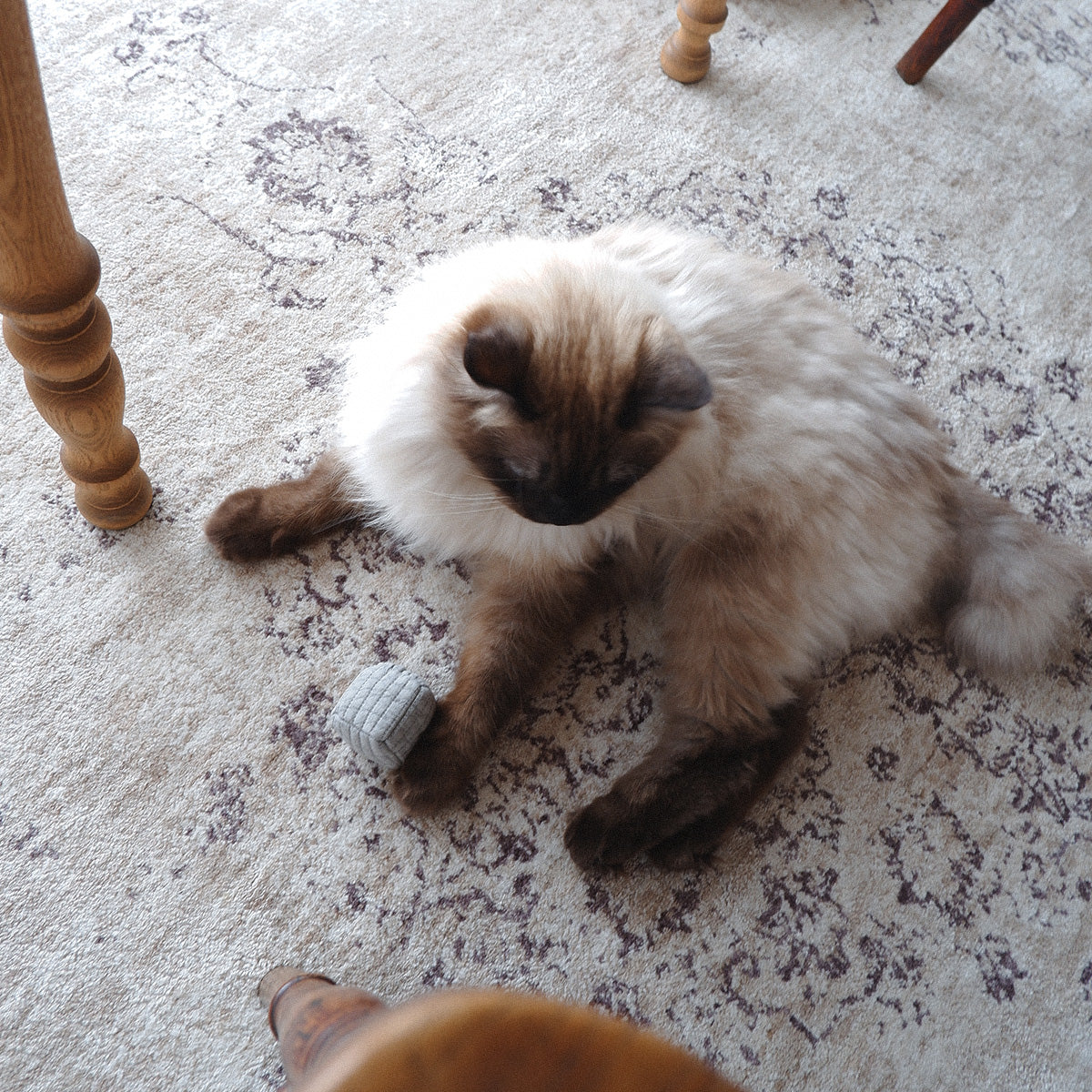 はぎれ布の四角Toy【Nubi/Gray】