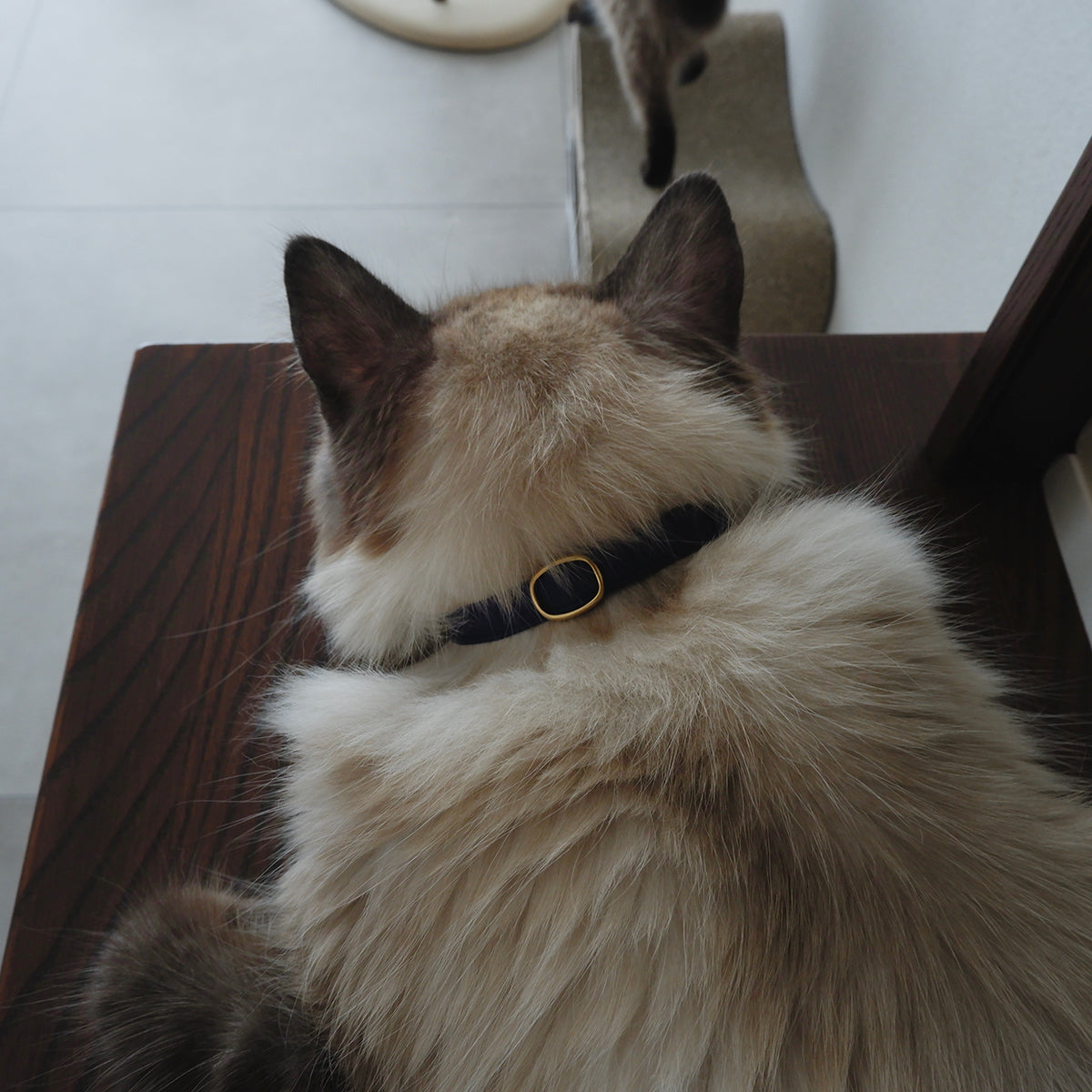 猫にやさしいコットン首輪/リボンなし【ブルー】