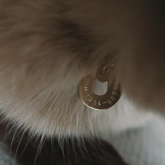 〈Onc311 Jewelry Design for Onddoka〉Hollow Cat Charm