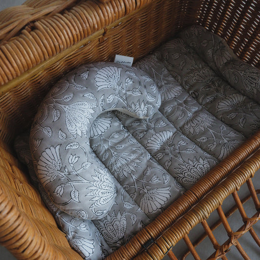 防災の日に考える、猫と一緒に避難するための備えとは？