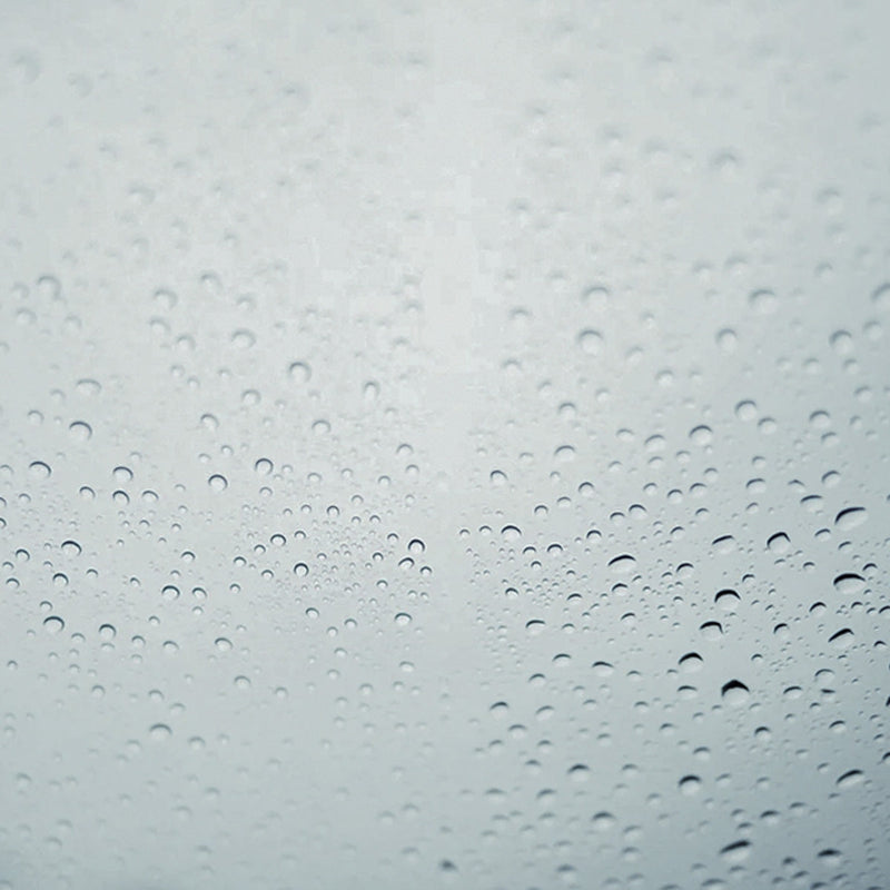 湿度に弱い猫のための快適な空間づくり