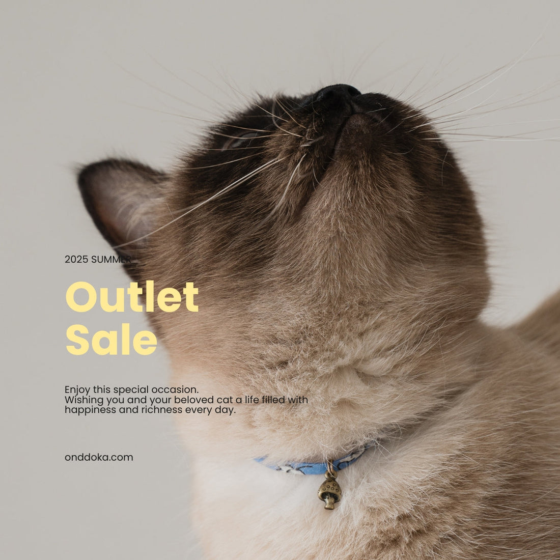 OUTLET SALE 7/11(Fri) 19:00~Start!
