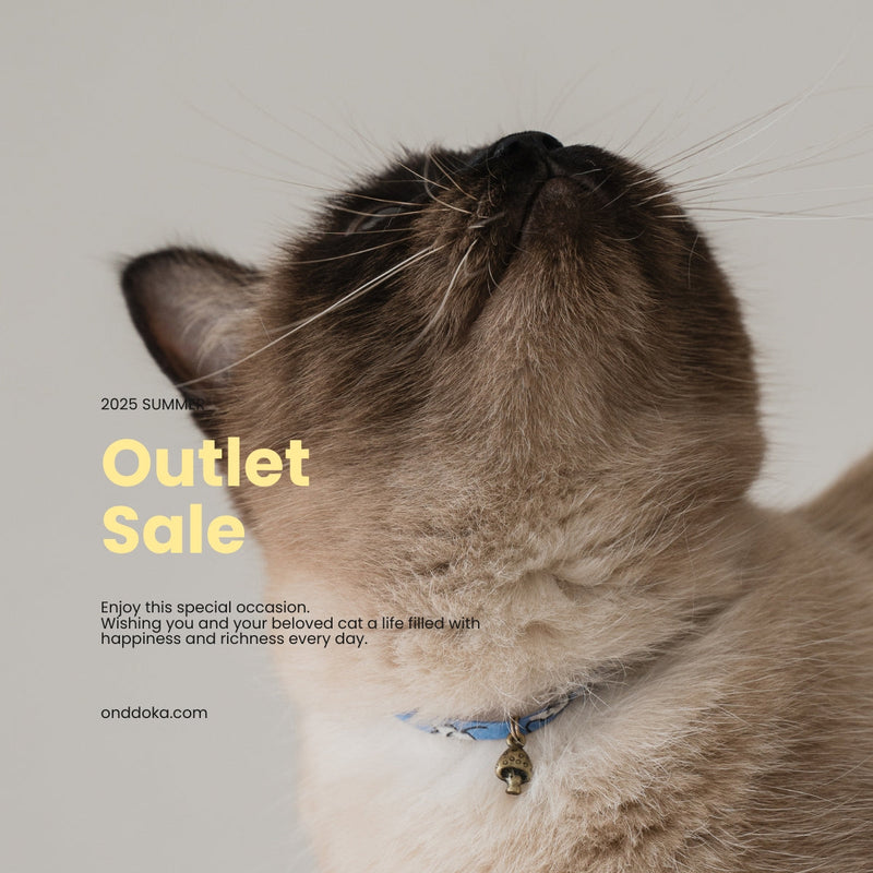 OUTLET SALE 7/11(Fri) 19:00~Start!