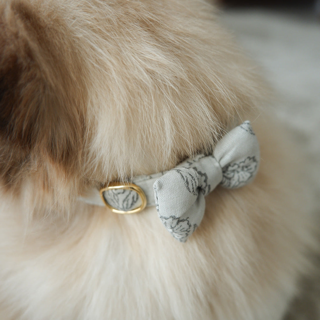 【2025.11.7 Fri. 19:00~】新商品発売のご案内