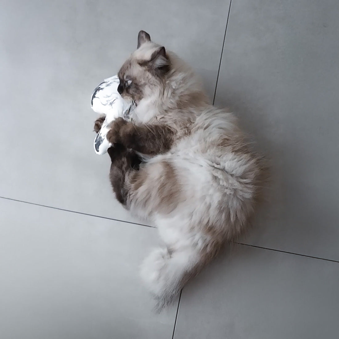 【2025.12.18 Thu.】新商品のご案内