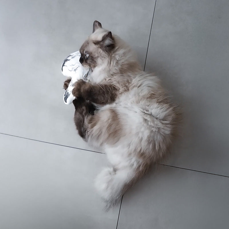 【2025.12.18 Thu.】新商品のご案内