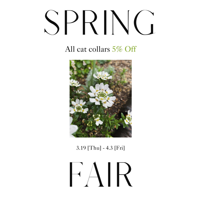 【2026.3.19 THU. 19:00-】Spring Fair開催のお知らせ