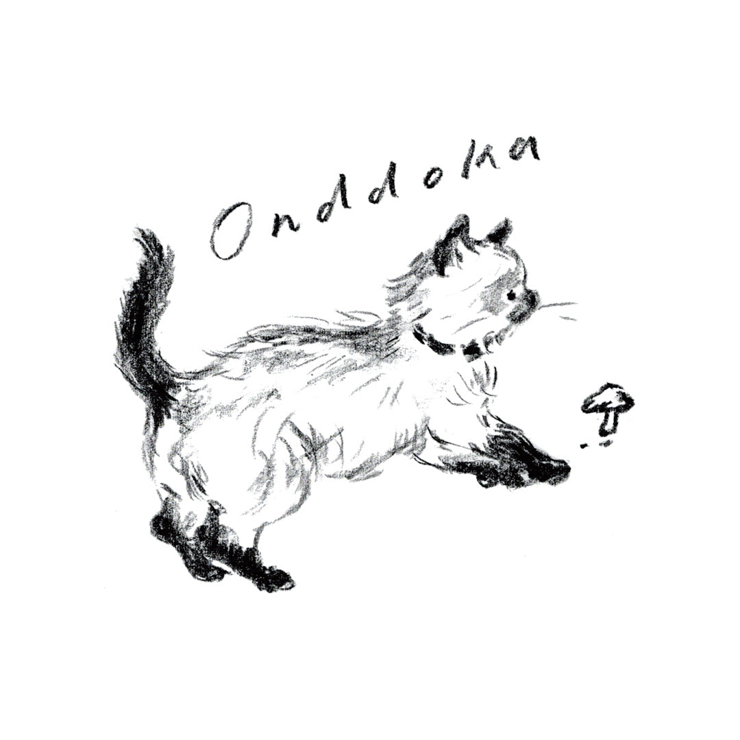 夏季休業のお知らせ