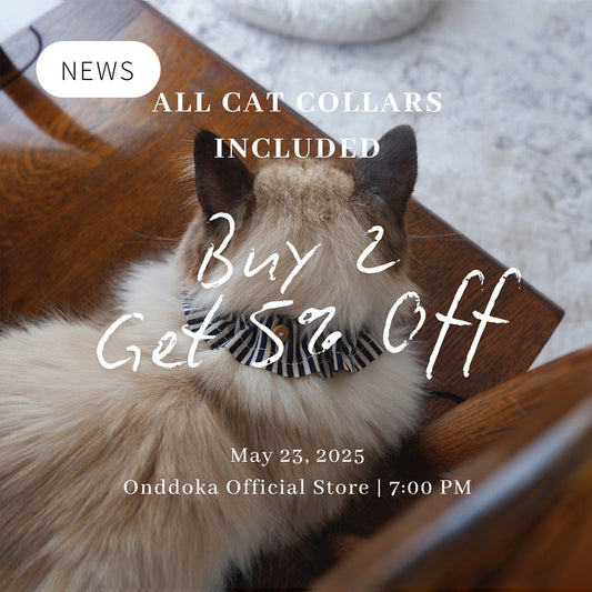 〈5/23 fri.19:00~〉首輪2点以上ご購入で5%Off ＆ New release