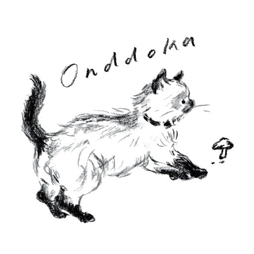 冬季休業のお知らせ