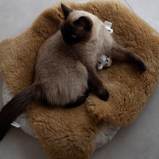 【予約販売】猫のためのスプリングラムスキンラグ【ブラウン】
