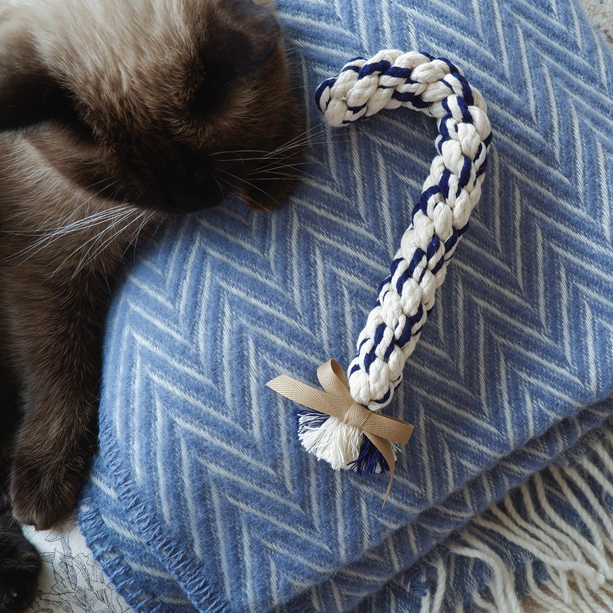 Candy Cane（キャンディケイン）ロープTOY【Navy】