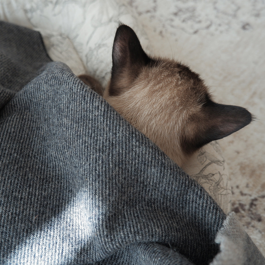 Cat ket / Herringbone wool