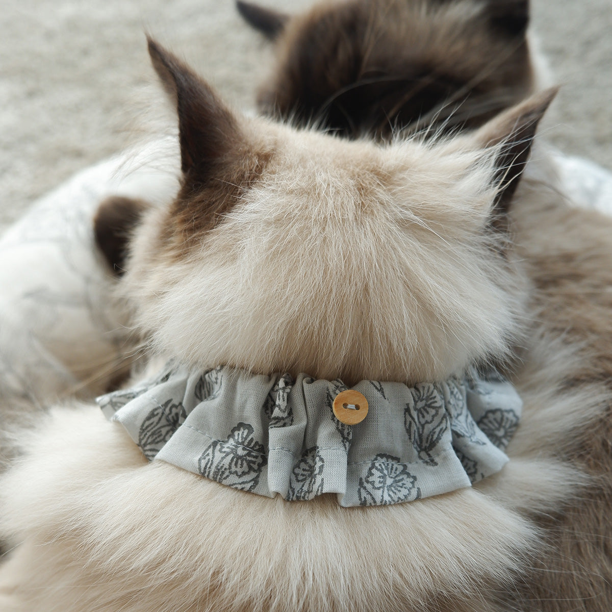 고양이 친화적인 코튼 목걸이/프릴【옐로우 그린 스트라이프】 