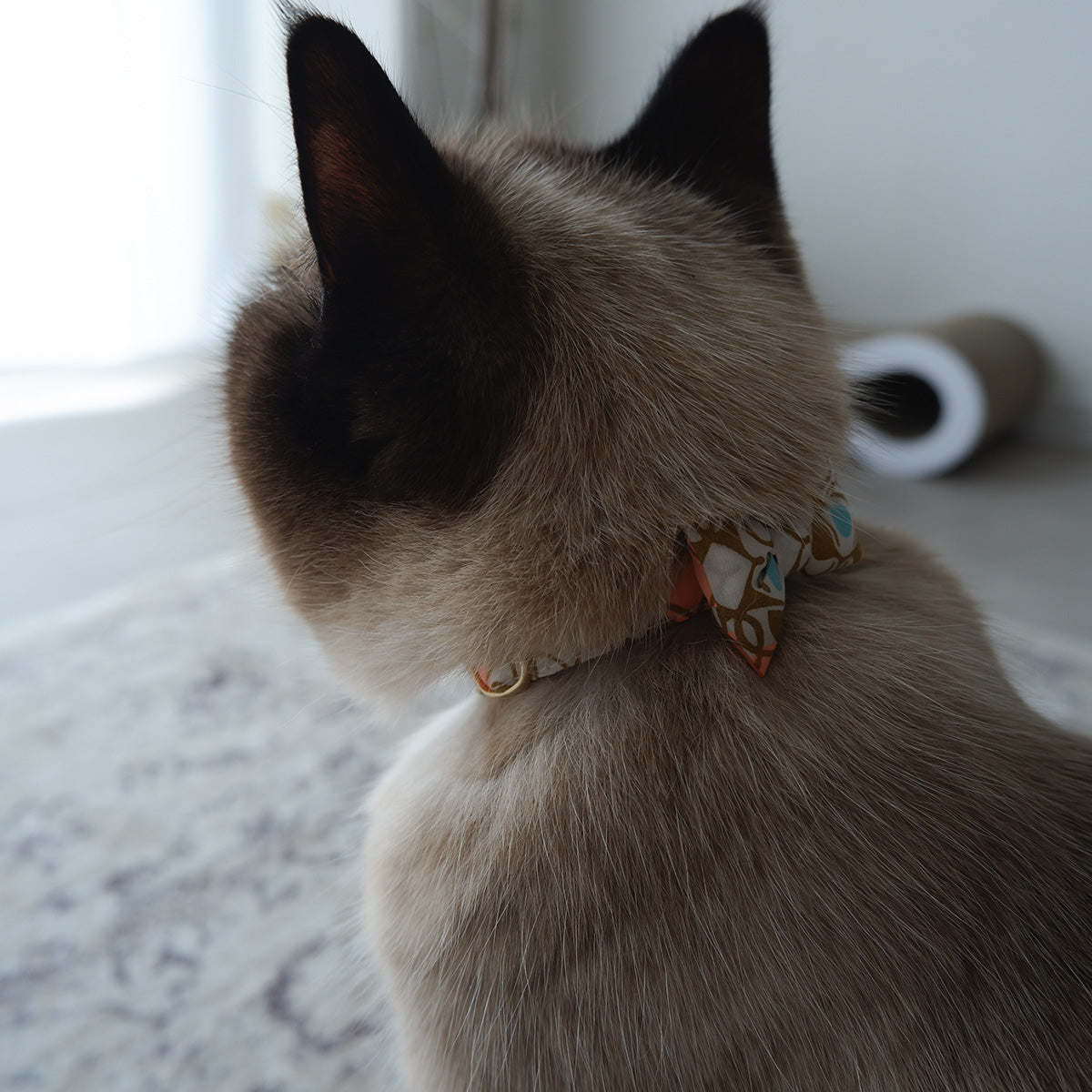 猫にやさしいコットン首輪/リボン【Liberty/Nouveau Brooch BU】｜猫の