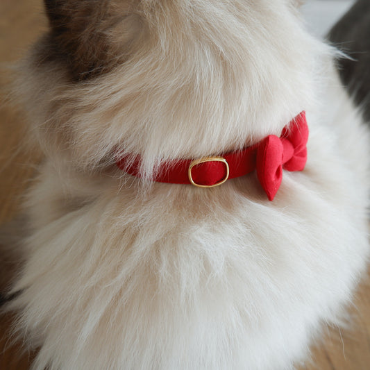 고양이 친화적인 코튼 목걸이/리본【블루】