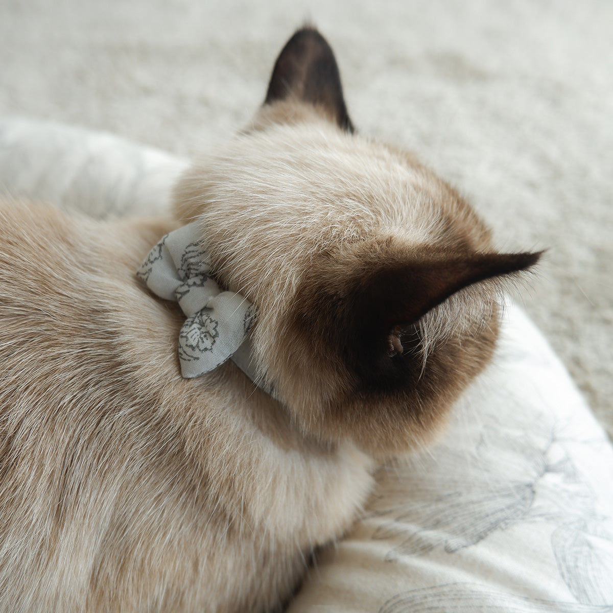 고양이 친화적인 코튼 목걸이/리본【도트미니언/마카롱】 