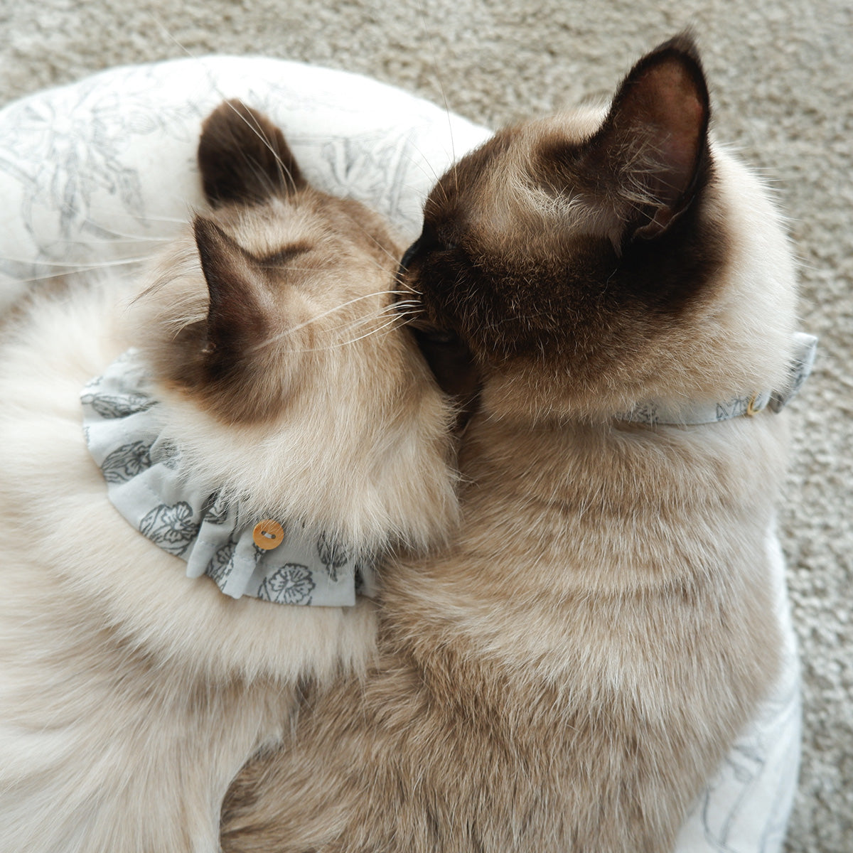 고양이 친화적인 코튼 목걸이/프릴【옐로우 그린 스트라이프】 