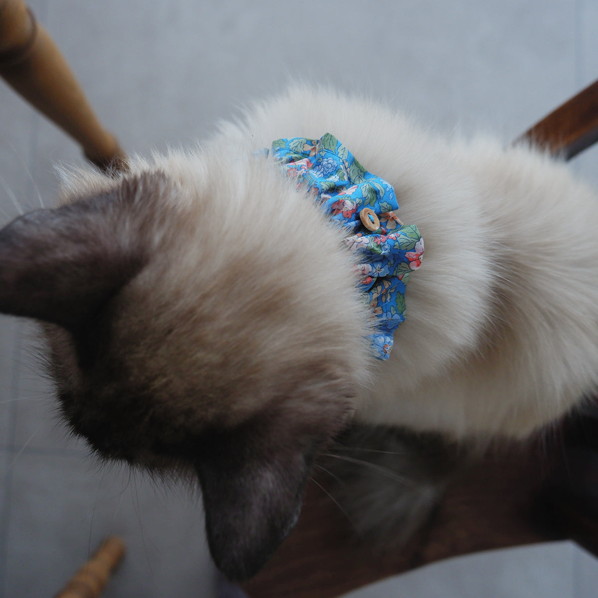 Cat-friendly cotton collar/frill [Liberty/Floral Impression]