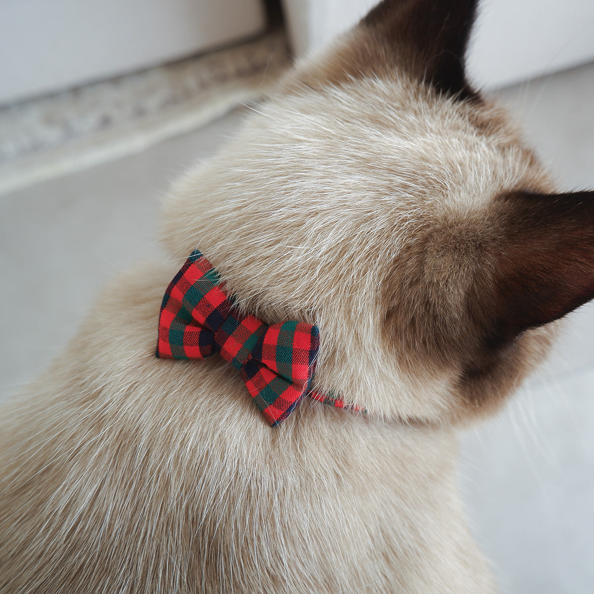 猫にやさしいコットン首輪/リボン【Tartan Red】