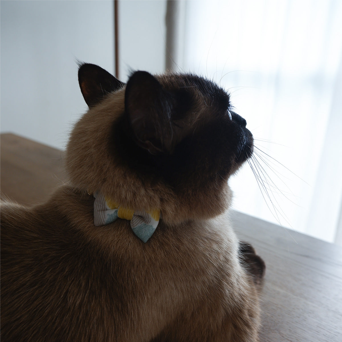 〈6/19発売〉猫にやさしいコットン首輪/リボン【Liberty/Jo Lee】