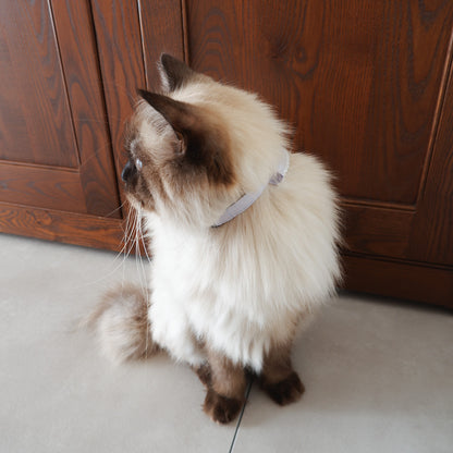 猫にやさしいスタイカラー【Trim Lace/ラベンダー】