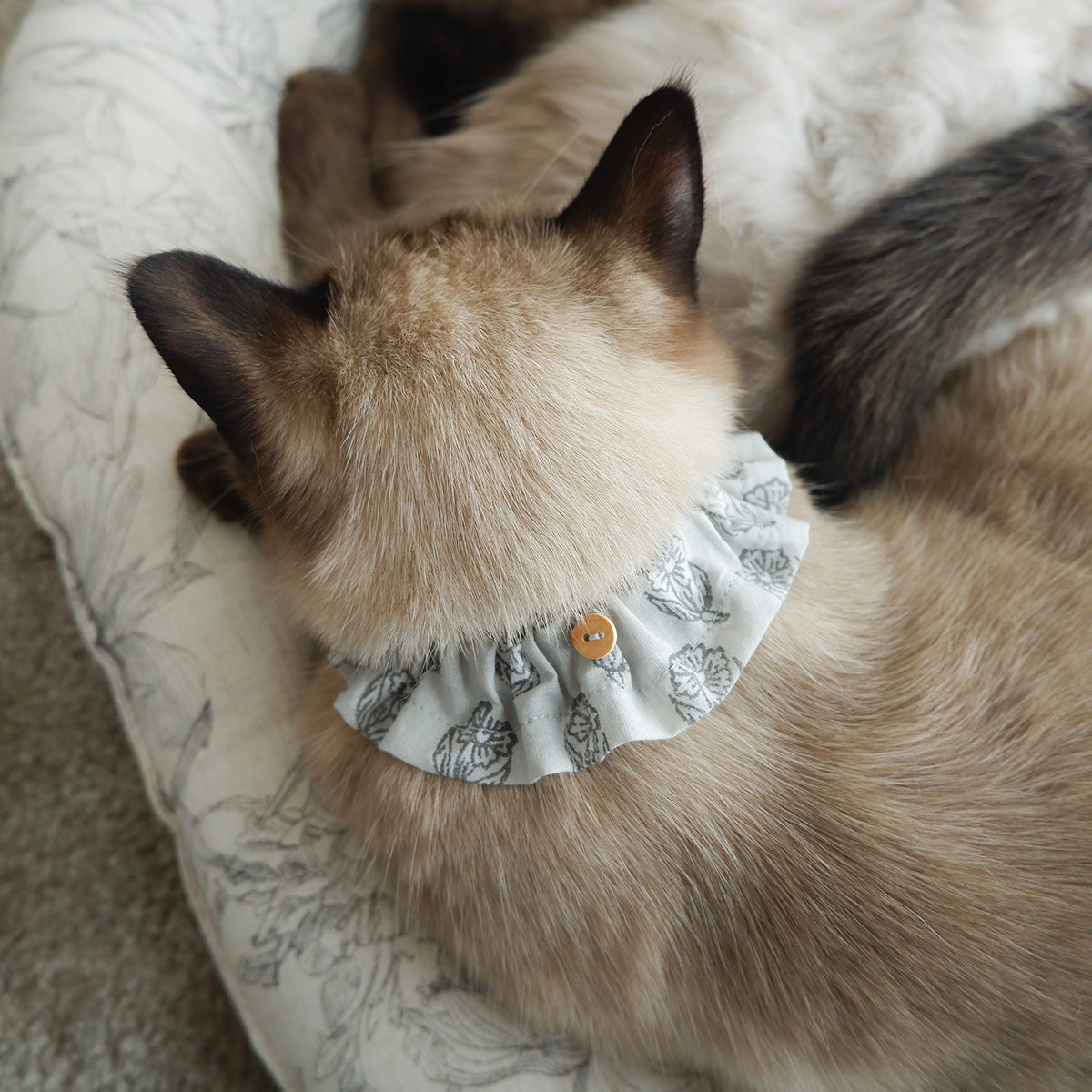 고양이 친화적인 코튼 목걸이/프릴【옐로우 그린 스트라이프】 